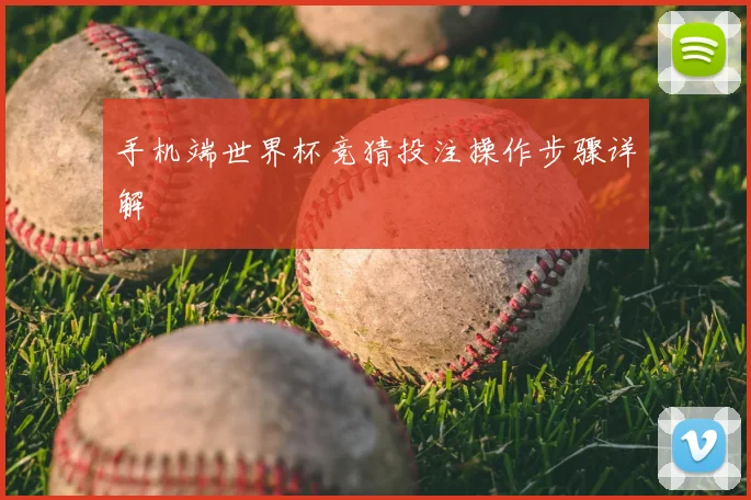 手机端世界杯竞猜投注操作步骤详解